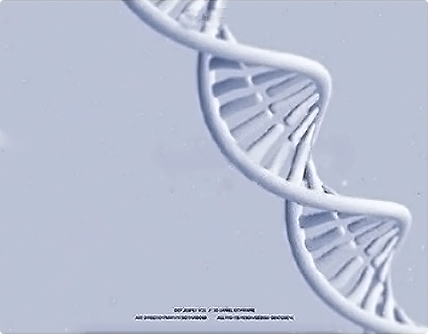 中國醫學科學院 | 菌(毒)種保藏中心